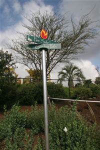 Firewise Garden1